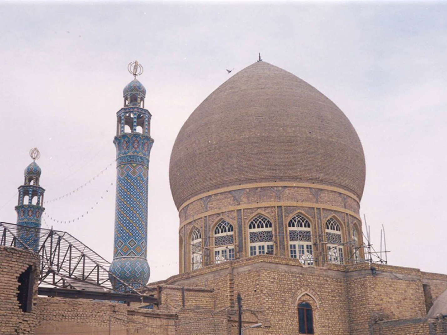 زیارت حبیب بن موسی (ع)