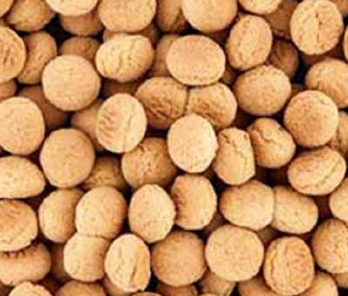 حاجی بادامی